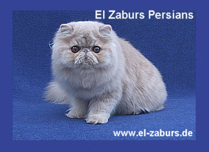 http://www.el-zaburs.de/index_elzaburs.htm